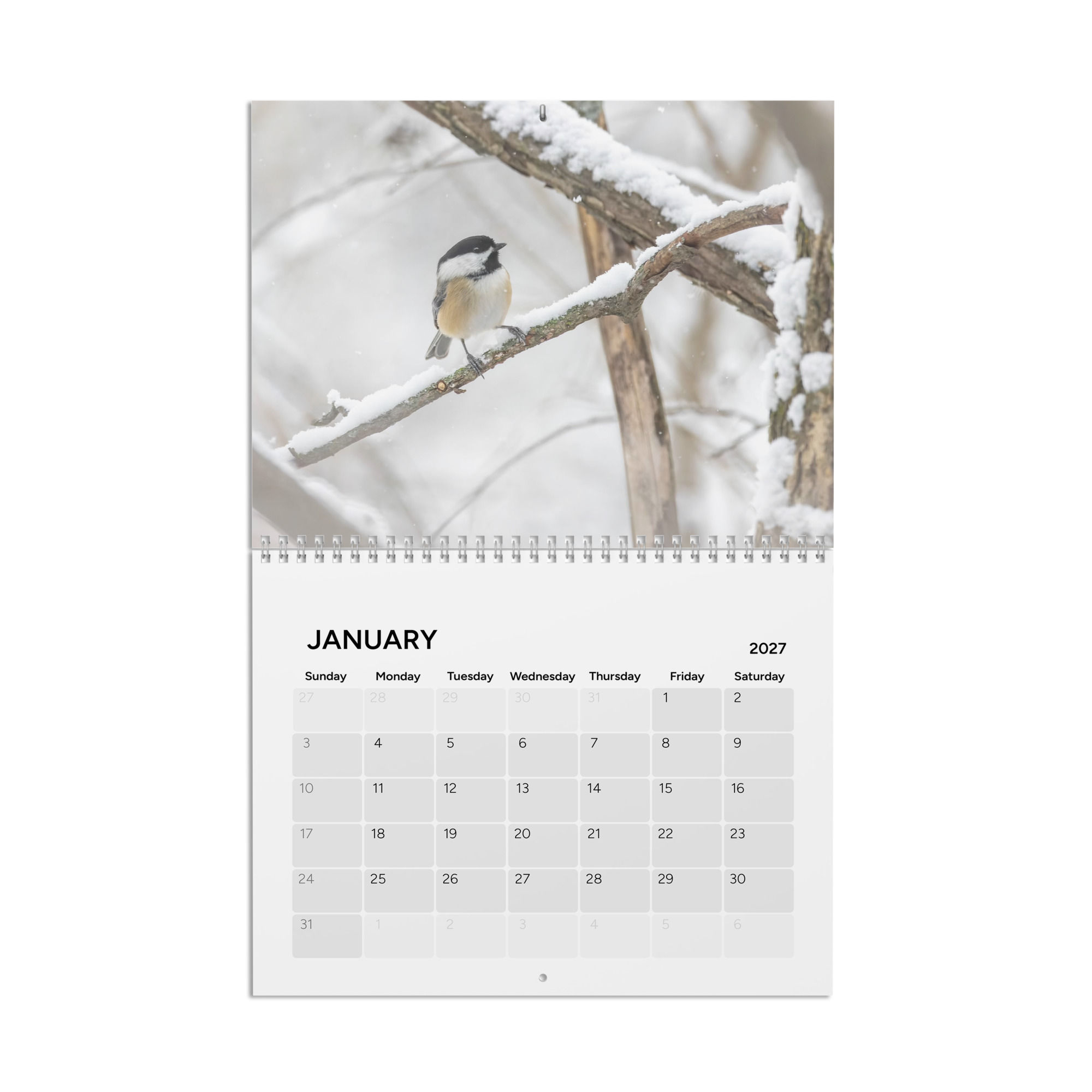 2027 Wisconsin Birds Calendar
