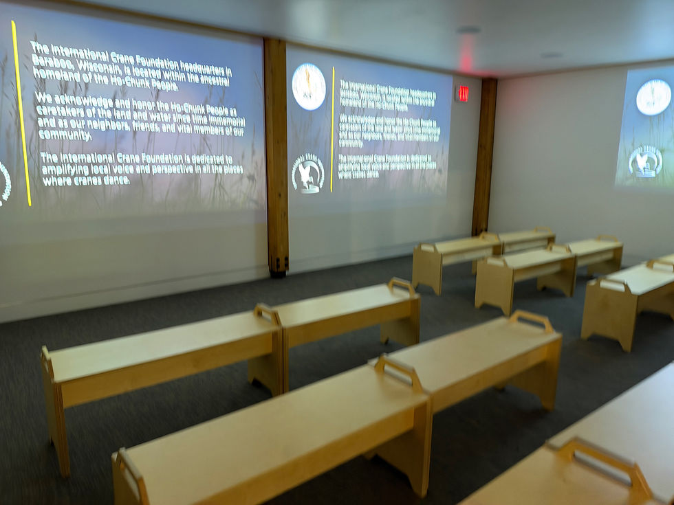 The tour begins with an informative video introducing visitors to the captivating world of cranes and the dedicated conservation efforts of the International Crane Foundation.