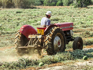 Agricultural Training Could Be Africa’s Most Overlooked Food Security Strategy