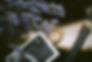 herbs-5659780_1920.jpg