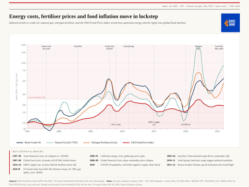 Correlation of energy costs, fertilizer prices and food inflation