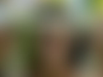 Bienvenue sur le nouveau site Aito Guerrier du Pacifique