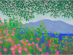 Image #24: Texas Wildflower