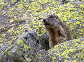 5D__0103 (2) (Kopie).JPG