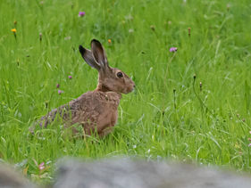 _D__3483 (Kopie).jpg