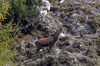 7R1_1068-Bearbeitet (Kopie).JPG