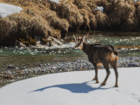 _D__5081 (Kopie).JPG