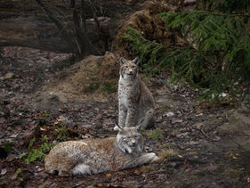 _MG_2073 (Kopie).jpg