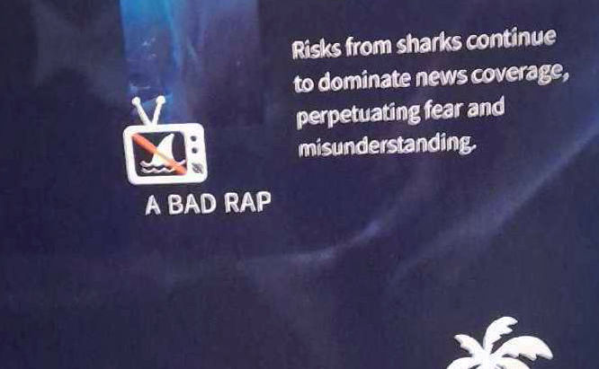 Maui Ocean Center: On Sharks