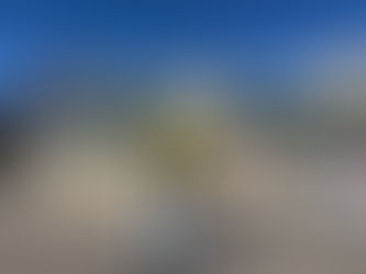 Celestial Seasonings