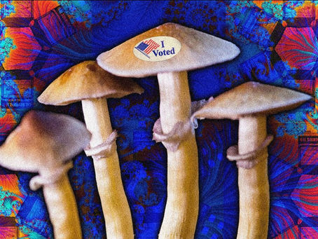 Oregon Voters Approve Initiative To Legalize Psilocybin Mushroom Therapy