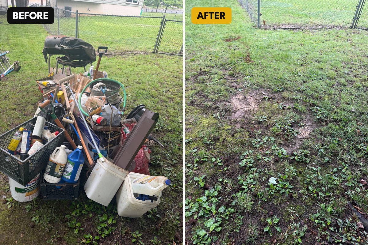 project-backyard-before-after.jpg