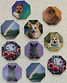 sublimated magnets