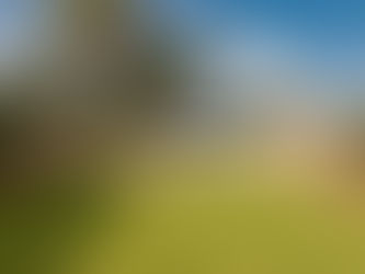 A Seasonal Guide to Maintaining Your Ibiza Home