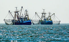 Pesca.jpeg