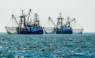 Pesca.jpeg