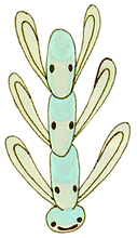 Banner of the Lake Beast (17).png