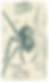 Black-and-white spider in a mouth with hanging spiders above, eerie Halloween-style scene.