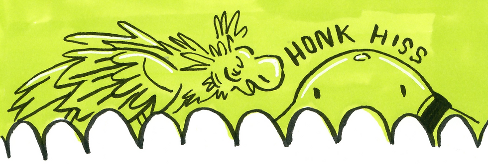 Cartoon bird honking at a helmet on a bright green background, with text "HONK HISS". The scene is humorous and playful.