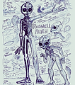 (X) tallgrays.png