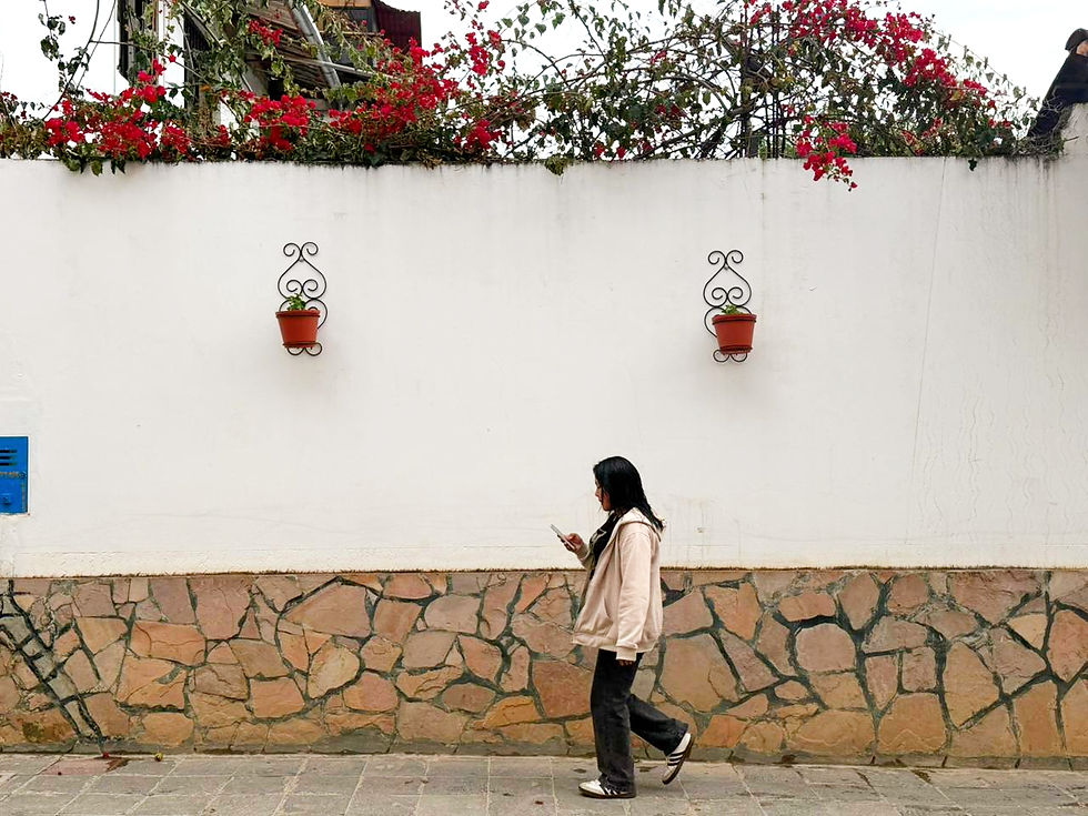 Un proyecto que pone en valor nuestras calles