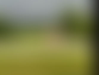 # 5 Nashville 6-18-2022