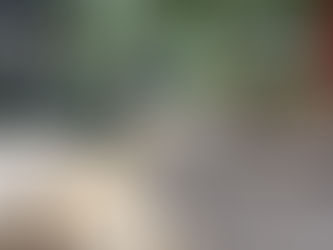 The Adventure Begins...