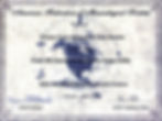 All Amweican Award 2003-4_0002.jpg