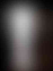 Bust, Statue, Planter, Library, Books, Dark Academia, Old Money Aesthetic, Cottage Core, Traditional Design