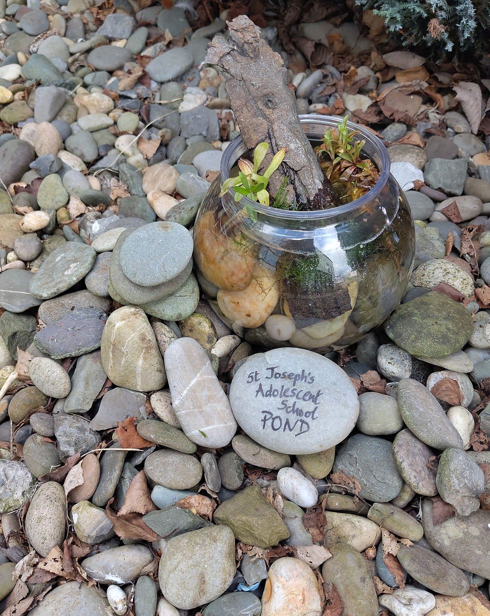 DH Pond outside