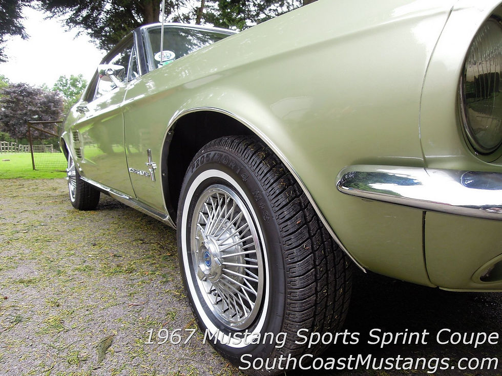 DSCN4380.jpg