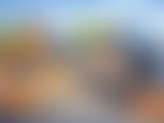 Wie hilft man Straßenkatzen wirklich?