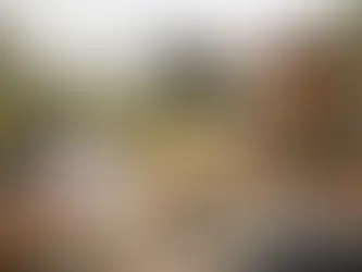 Wie unterstützt man Tierschutzprojekte wirksam?
