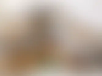 Sachspenden für Katzenschutz richtig geben