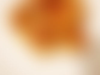 手工牛蒡風味蘿蔔糕