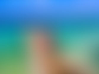 Curaçao - Pérola do Caribe Holandês