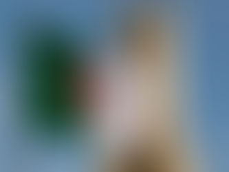 IVAIGO Cultural Evening: All About Algeria