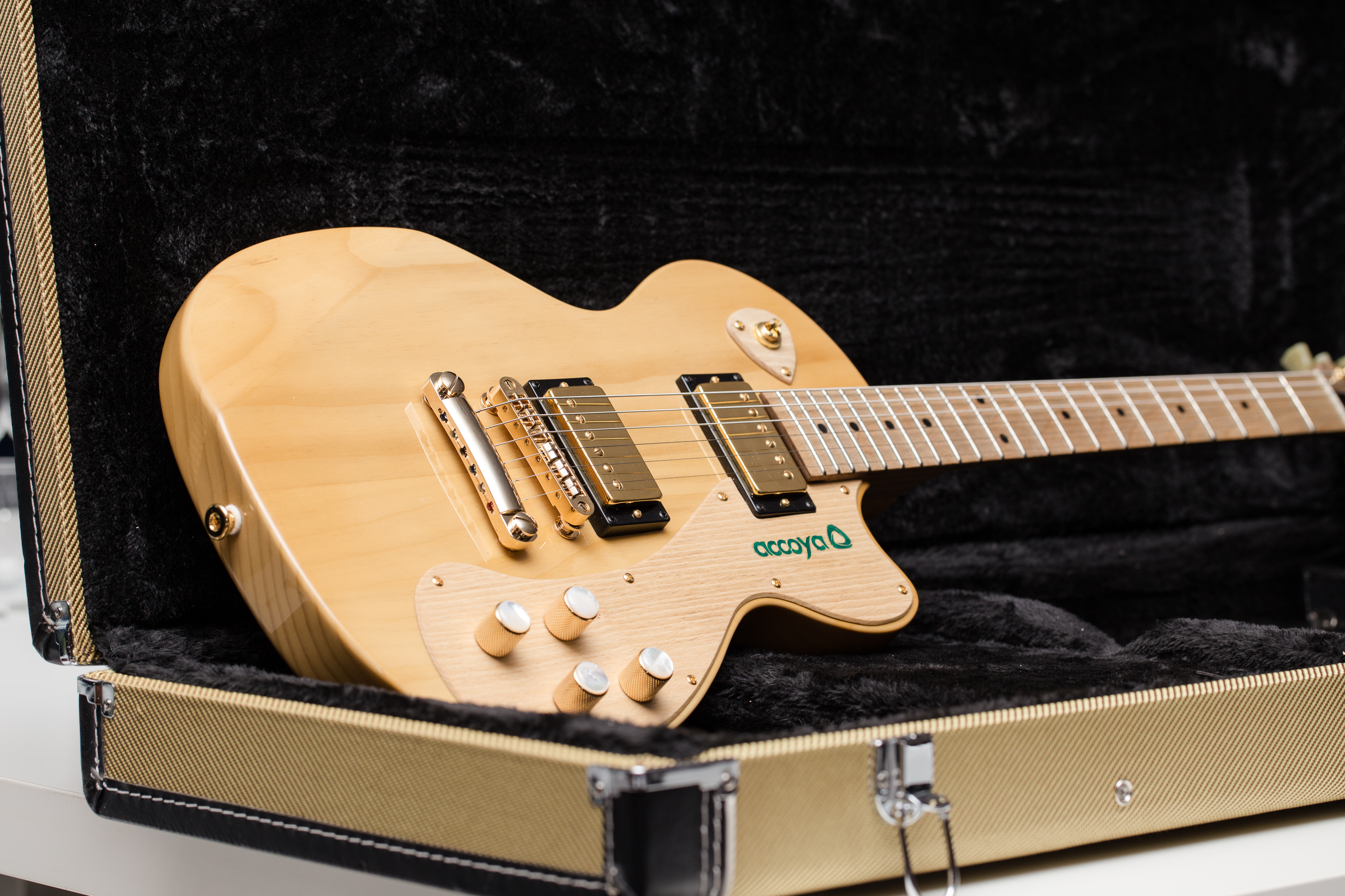 BJB Accoya Guitar 1