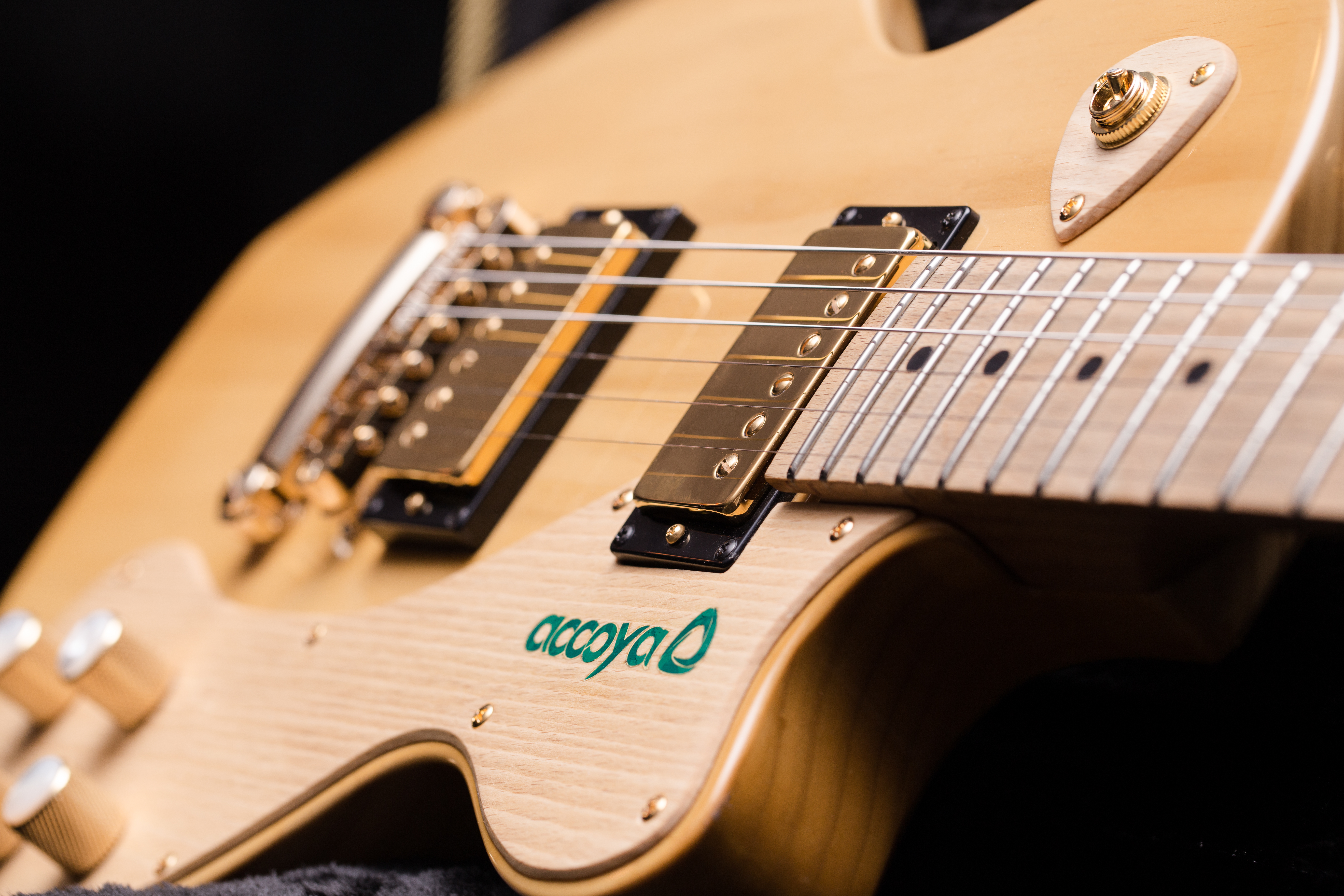 BJB Accoya Guitar 2