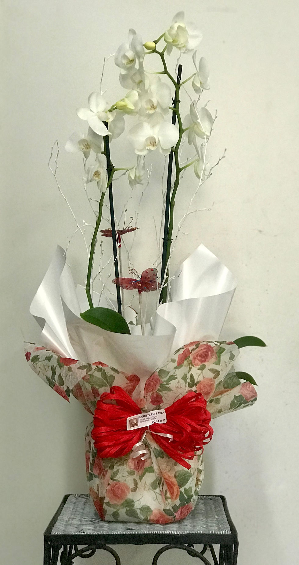 Miniatura: Orquideas