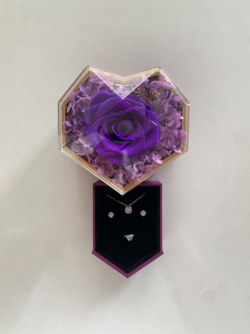 Miniatura: Rosa Isabel
