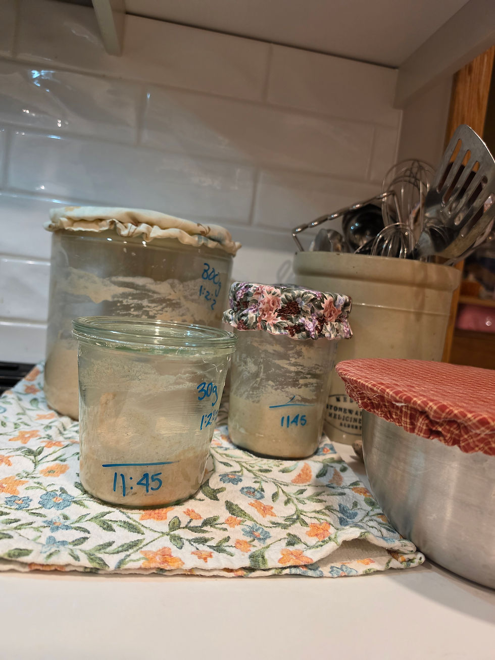 Getting Started With Your Sourdough Starter