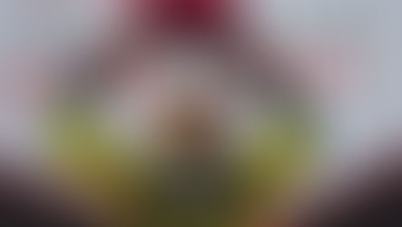 IndyCar Series Driver, Colton Herta, Replaces Injured Travis Pastrana on Team USA for Upcoming ROC.