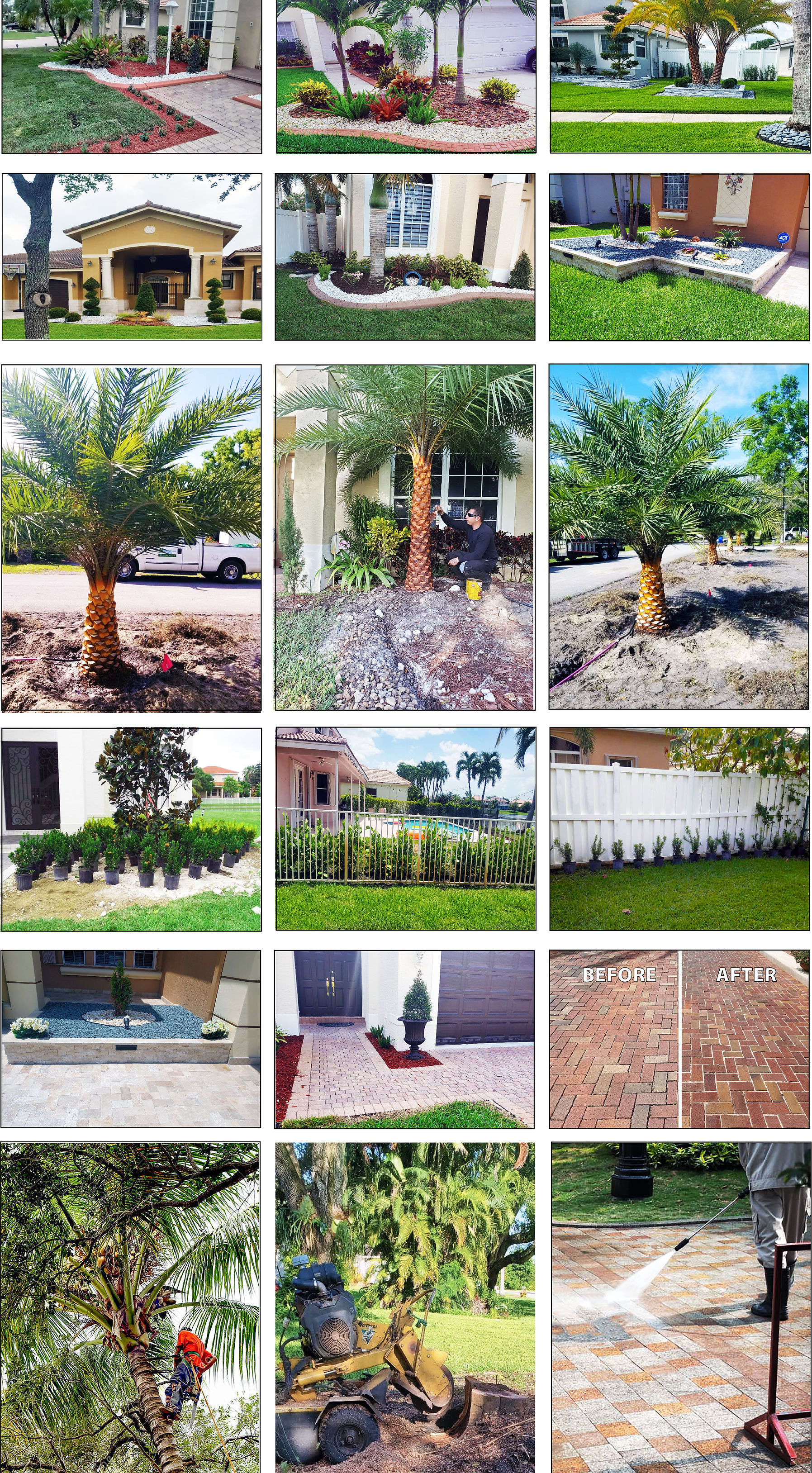 Gallery Photos.jpg