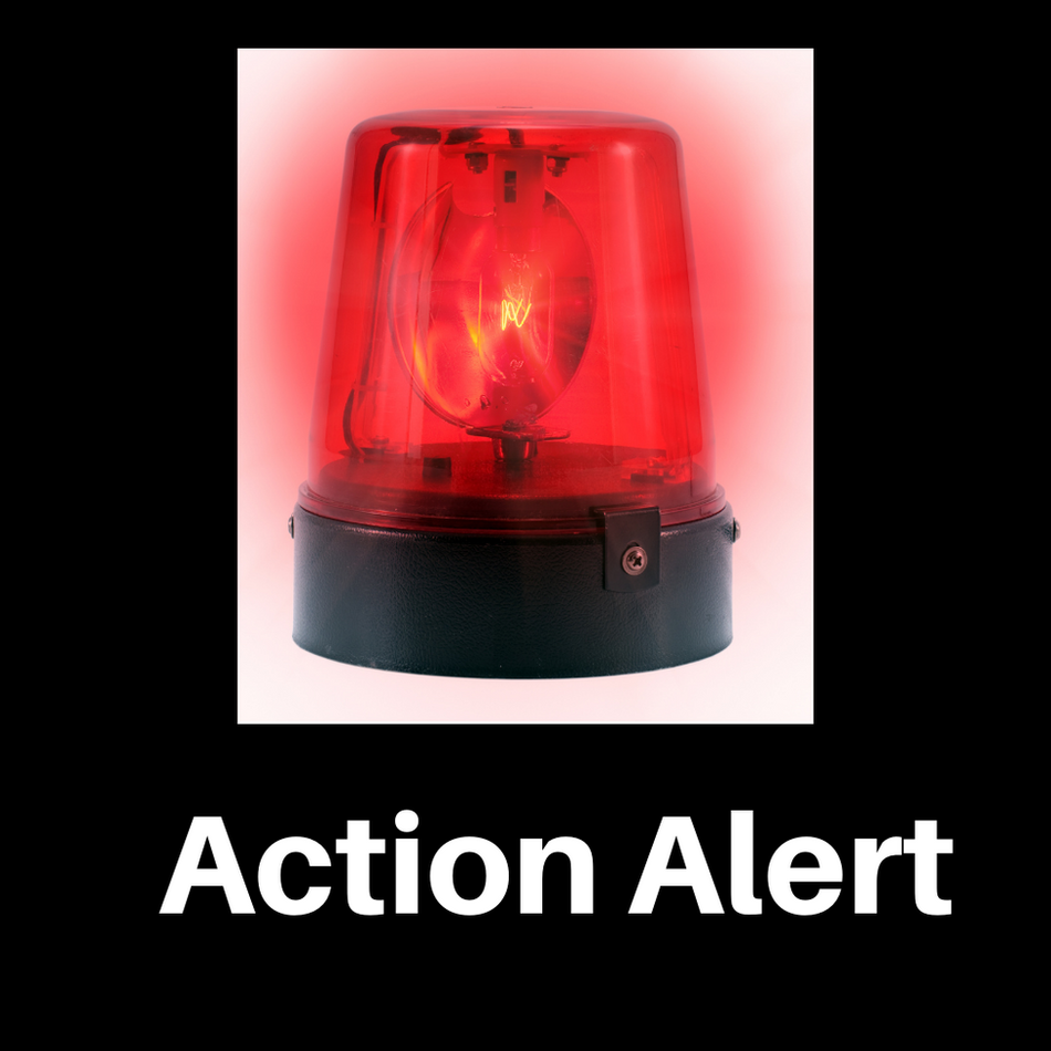 Action Alert: Petition to Oppose HB1/SB484 and Reject This Power Grab by Governor Ron DeSantis