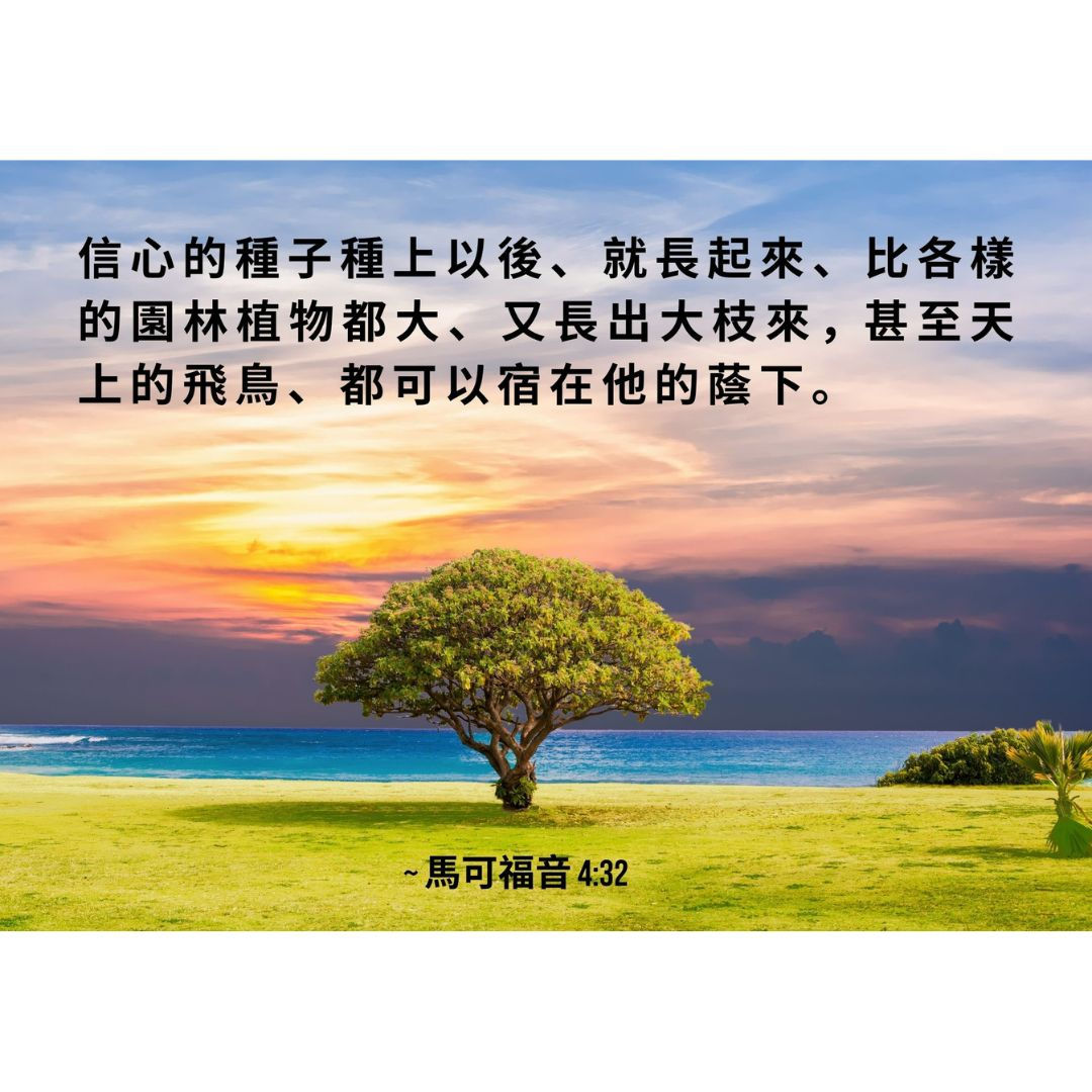 Chinese Bible Verse Poster