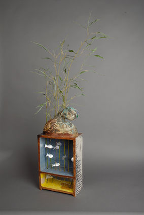 Un tour de bocal.JPG