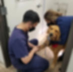 Anesthesia induction