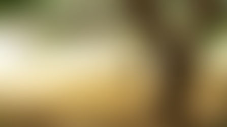 New Book Excerpt