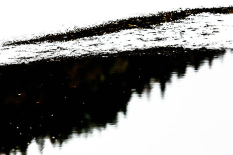 Feldsee 5